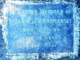 image of grave number 594119